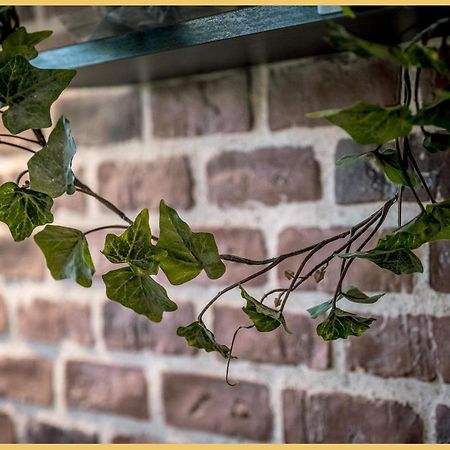 Appartement T3 I Cozy I Douvaine Exterior foto